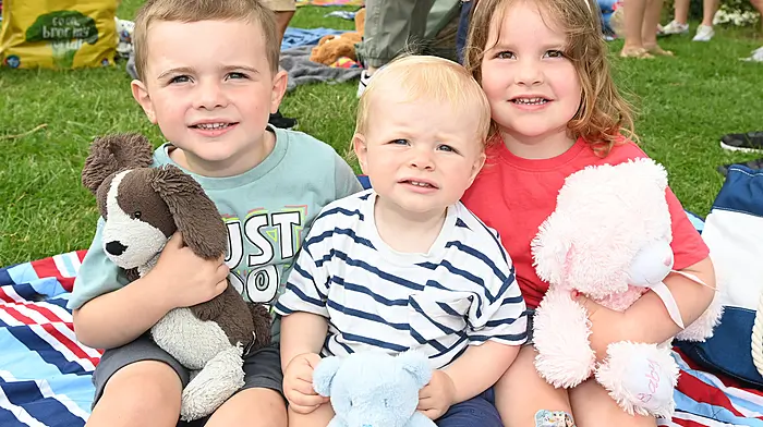 Timoleague children Ciarán and Daithí Sheehan with Caoimhe O'Donovan enjoying the teddy bears picnic at the Courtmacsherry Harbour Festival.  (Photo: Martin Walsh)
