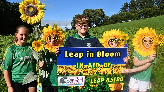 Aéla French, Odhran French, Aaron Jennings, Victoria Jennings and Harry O'Sullivan getting ready for Leap in Bloom, the August bank holiday weekend sunflower fest. A field of sunflowers has been grown to sell in aid of Cancer Connect and for an Astroturf pitch for the village. There will be tea, coffee and live music in the field. There will also be a station in the church yard selling sunflowers. (Photo: Anne Minihane)
