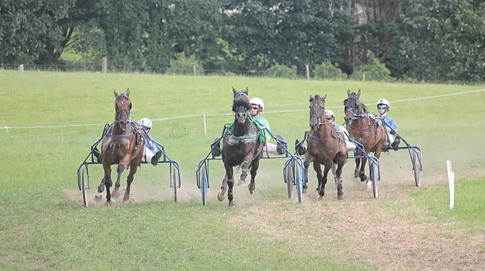 Duc D’Arry dominates at Lyre to edge closer to milestone Image