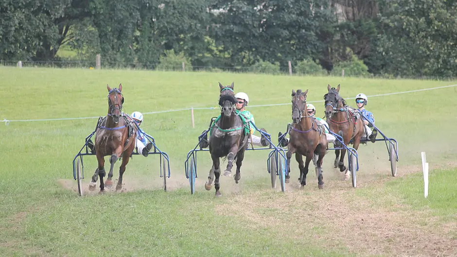 Duc D’Arry dominates at Lyre to edge closer to milestone Image