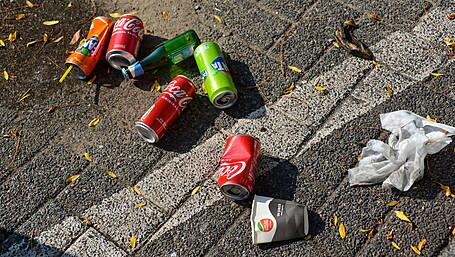 Only 3 wardens to patrol litter and 57 fines in entire year Image