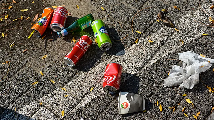 Only 3 wardens to patrol litter and 57 fines in entire year Image