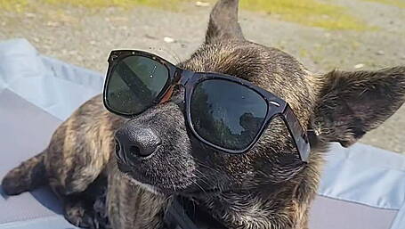 Reader’s Picture of the Week Image