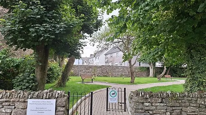 Upgrade breathes new life into scenic orchard town park in Clonakilty Image
