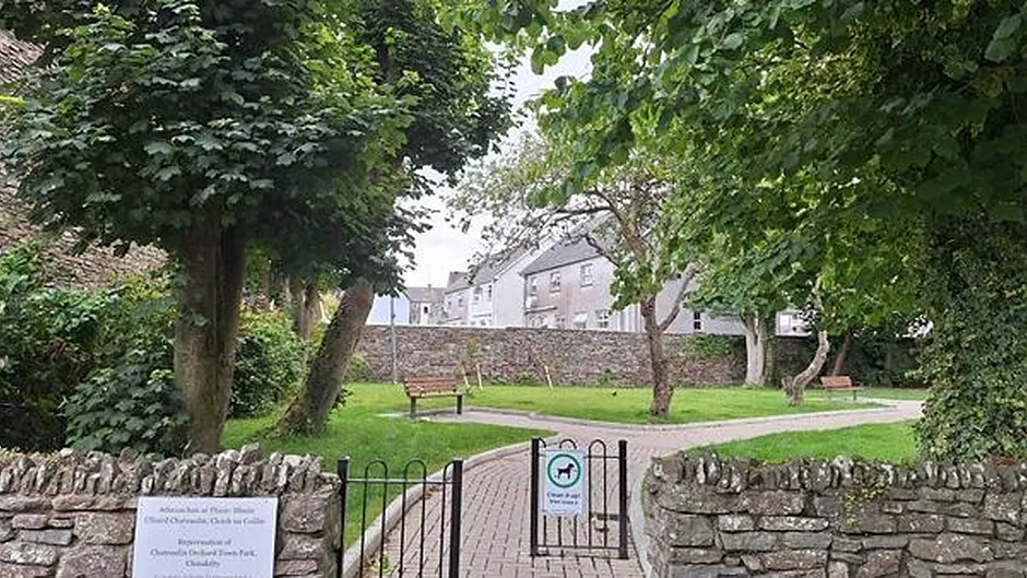 Upgrade breathes new life into scenic orchard town park in Clonakilty Image