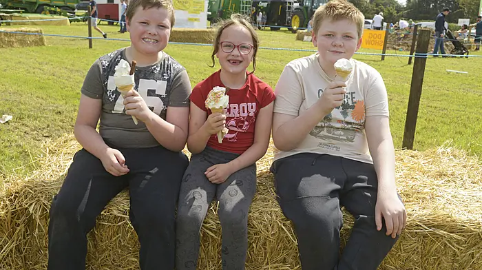 NEWS 3/8/2025 Pictured at the Vintage Club Working Day at Ahiohill Co Cork was Comron, Paige and Leonn Strong enjoying an ice cream. Picture Denis Boyle