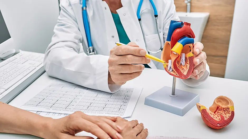 KNOW YOUR RIGHTS: Changes to organ donation Image