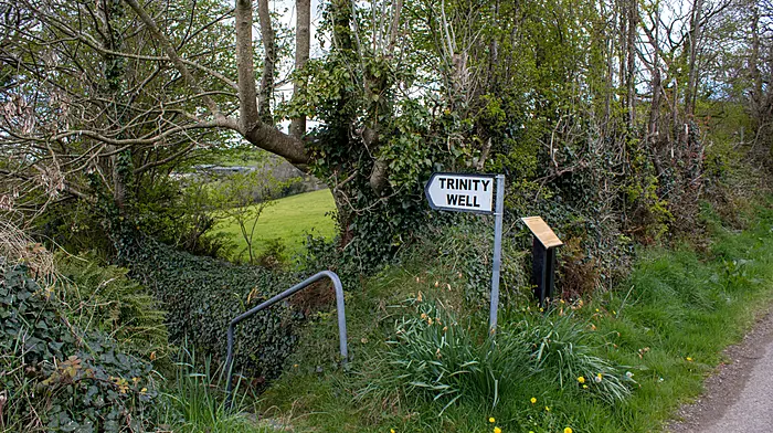 Explore the history of Cork’s 358 holy wells steeped in local legend Image