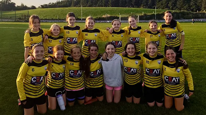 Lyre Rovers make their mark in Schoolgirls League Image