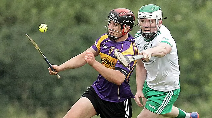 ‘I’m hoping to play as long as I can with Carbery,’ says rising dual star Liam Hourihan Image