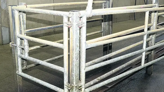 Staying cool and calm is key to farm safety Image