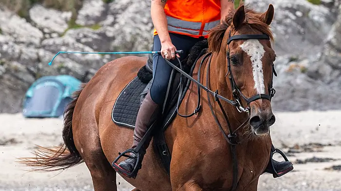 Fiona Sheridan,  Rosscarbery, with Tanzer on Owenahincha Beach. (Photo: Andy Gibson)
