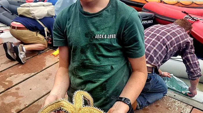 Harvey Payne Lynch is proud, but unsurprised, that he won the award for the Most Unusual Fish category caught during the crab fishing event during the Schull Regatta.