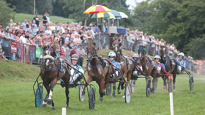Doubles for Mike O’Mahony and Matthew O’Reilly at Ballabuidhe Image