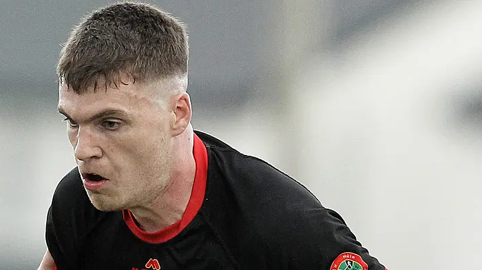 JOHN HAYES: David Buckley must be given the chance to replicate his club form with Cork next season Image