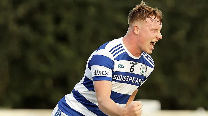 TALKING POINTS: Castlehaven's consistency continues to impress Image