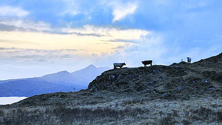 Reader's Picture of the Week Image