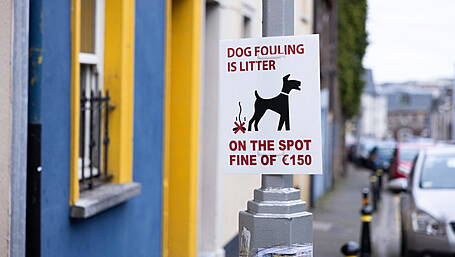 Dog foul fines highest in Cork county Image