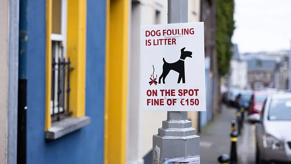 Dog foul fines highest in Cork county Image