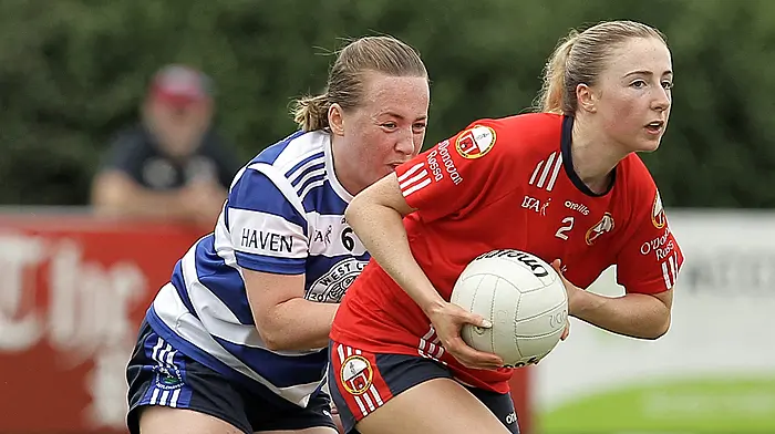 High-flying O'Donovan Rossa win derby and bragging rights Image