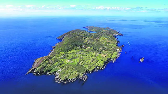 Open day for Cape Clear projects Image