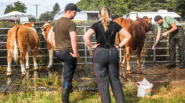 Ballygarvan, Cork, Ireland. 23rd August, 2025. Time for a quick chat at the wash station at the annual agricultural show that was held in Ballygarvan, Co. Cork. - Picture: David Creedon