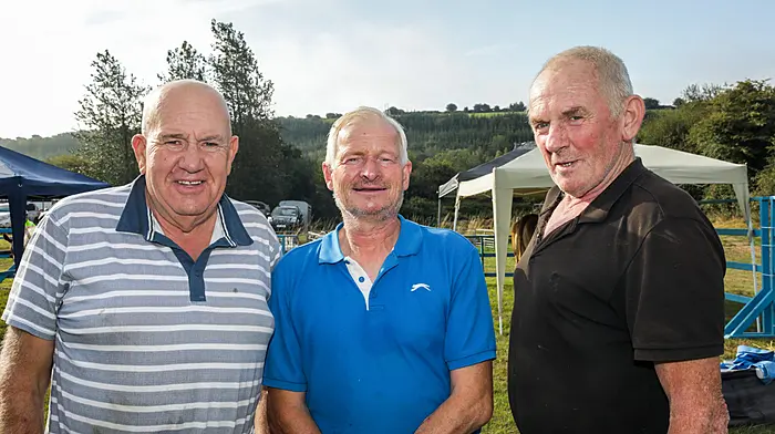 Ballygarvan, Cork, Ireland. 23rd August, 2025. Tony O'Leary from Ballincollig, Adrial Bateman from Riverstick and Peter O'Connell from Mallow at the annual agricultural show that was held in Ballygarvan, Co. Cork. - Picture: David Creedon