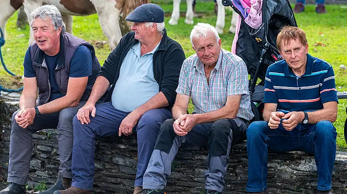 Rosscarbery, West Cork, Ireland. 26th Aug, 2025. The annual Rosscarbery Horse Fair took place today in Rosscarbery town centre, with many people buying and selling horses and ponies. These men were looking at the animals on offer. Picture: Andy Gibson.
