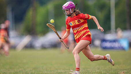 Young guns impress as Newcestown make winning start to county premier intermediate camogie campaign Image
