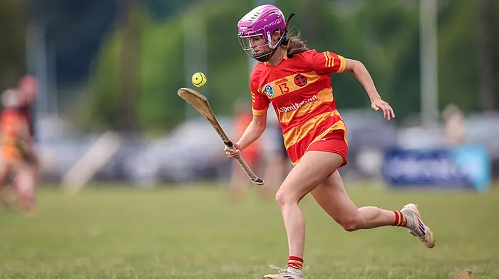 Young guns impress as Newcestown make winning start to county premier intermediate camogie campaign Image