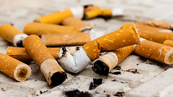 Cigarette butts and shopping trolleys spoiling beauty spots Image