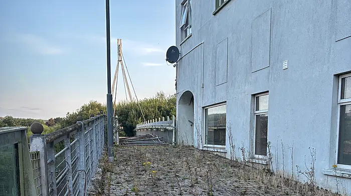 Funding for bridge and car park at Skibbereen Marsh Image
