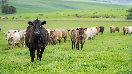 Farmers not to blame for rising prices Image