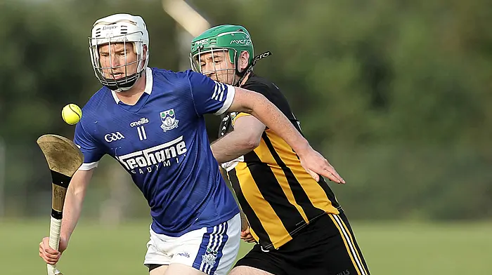 Kilbree book spot in knockout stages with one game to spare Image