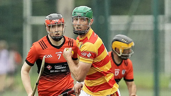 Impressive Newcestown flex their muscles in Carbery Image