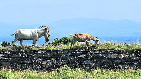 Reader's Picture of the Week Image