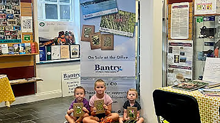 Celebrating community and nature at Bantry Tourist Office Image