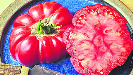 GARDENING: Autumn harvests coming early Image