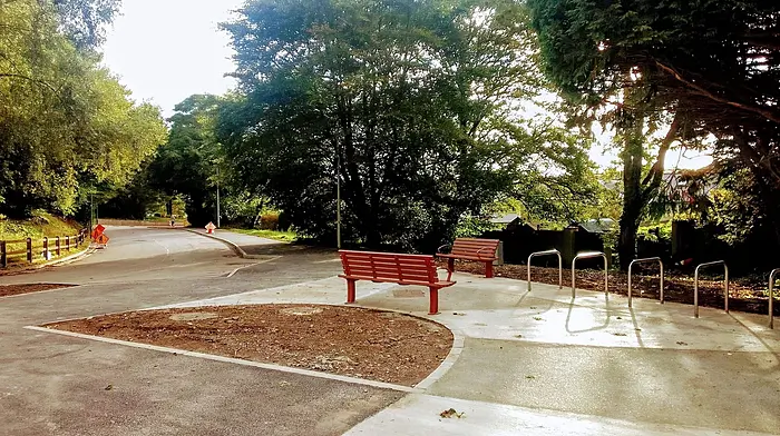 Safer routes in place at Gortnaclohy set to ease Skibbereen traffic congestion Image