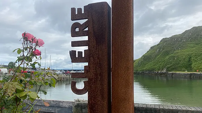 No swim ‘confusion’ as Cape Clear water quality restored Image