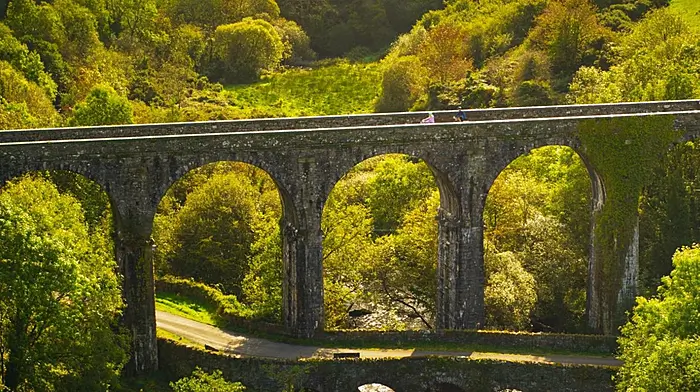 People have cancelled their holidays... council hears of stress over greenway Image