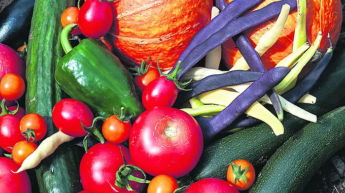 GARDENING: Plump pumpkins and beautiful beetroot Image