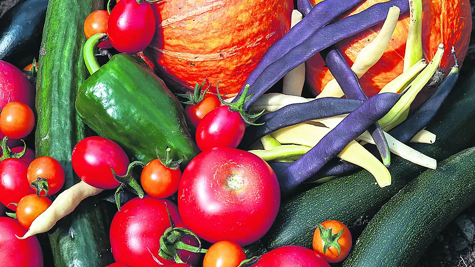 GARDENING: Plump pumpkins and beautiful beetroot Image