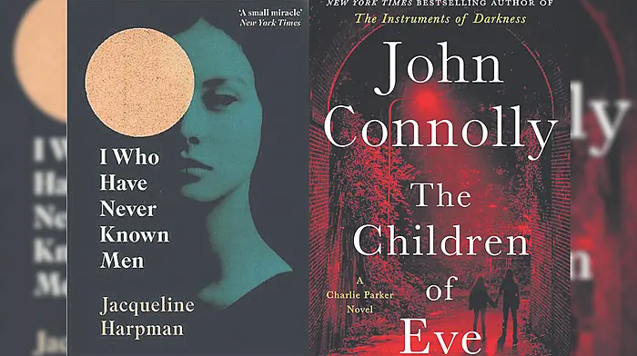 THE BOOKSHELF: What we're reading across West Cork Image