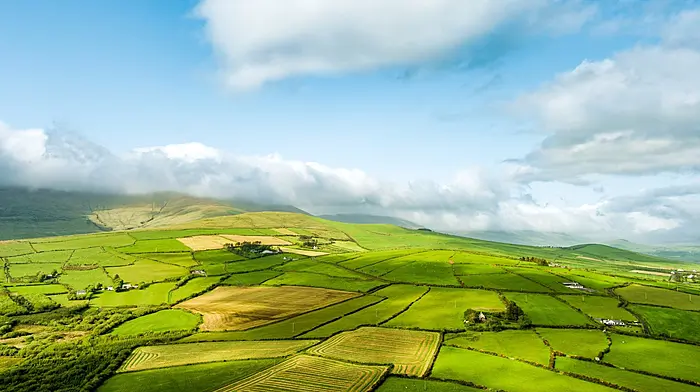 WEST CORK FARMING: West Cork set to welcome Macra National Rally 2025 Image