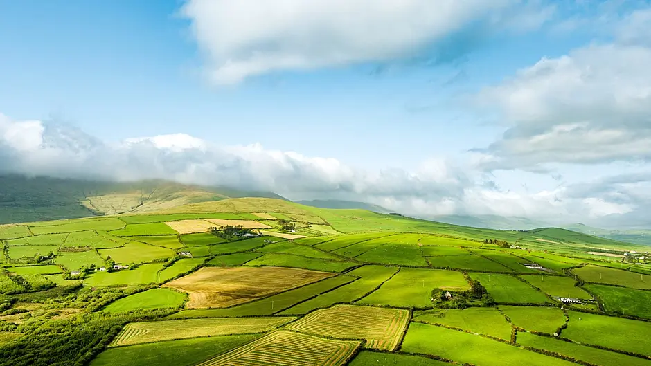 WEST CORK FARMING: West Cork set to welcome Macra National Rally 2025 Image