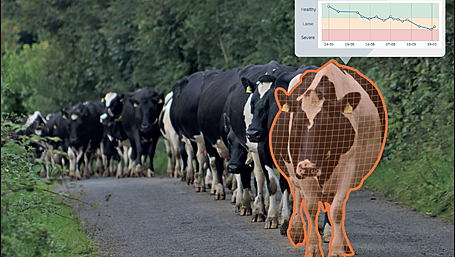 WATCH: Do you need an extra set of eyes on your cows? - Find help at the Ploughing! Image