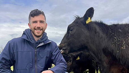 WEST CORK FARMING: Talking is therapy Image