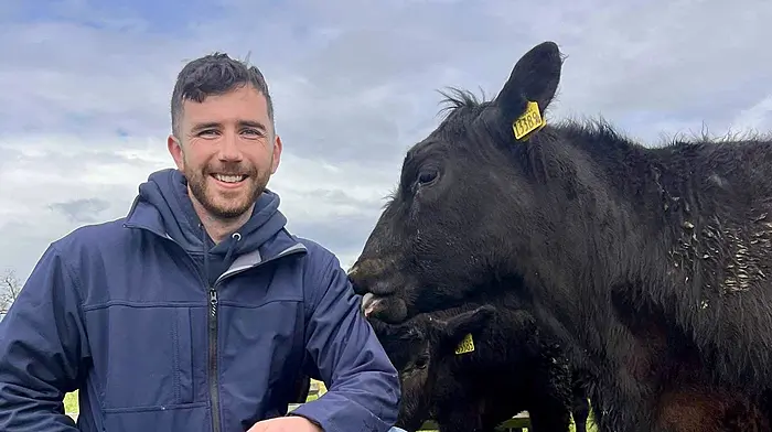 WEST CORK FARMING: Talking is therapy Image