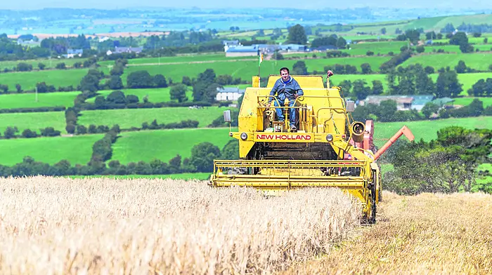 Demonstrating barley harvesting was David O'Neill from Ballinadee with his 1970's New Holland Clayton 1545 combine harvester at the De Courcey Classic & Vintage Club's annual harvest working day in Ballinadee Picture: Andy Gibson.